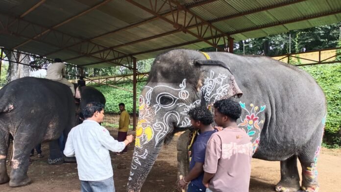 A total of 51 tableaux will be displayed during the Vijayadashami Jumboo Savari procession today.