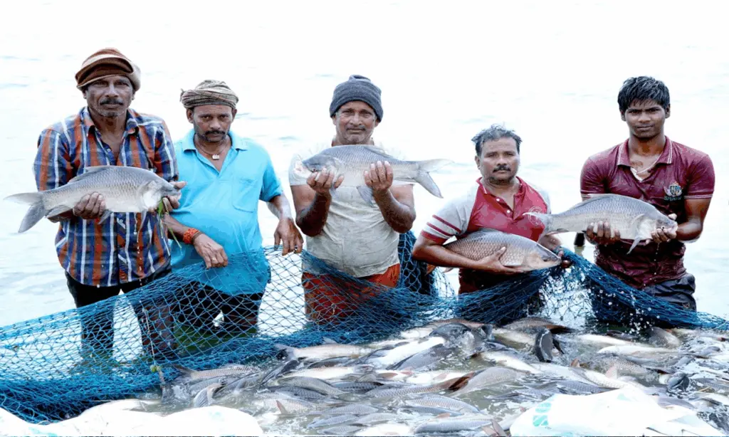 Prime Minister Matsya Sampada and the Blue Revolution