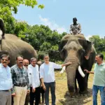 'Tiger capture operation' near Teralu