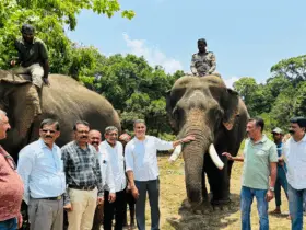 'Tiger capture operation' near Teralu