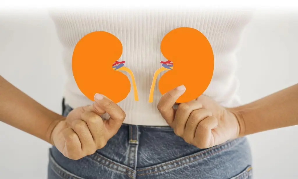 kidney health