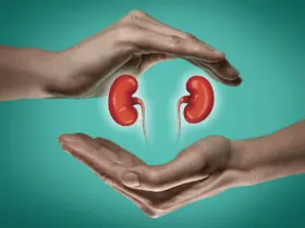 kidney health