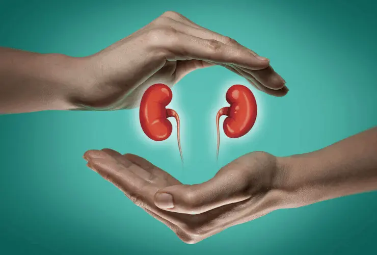 kidney health