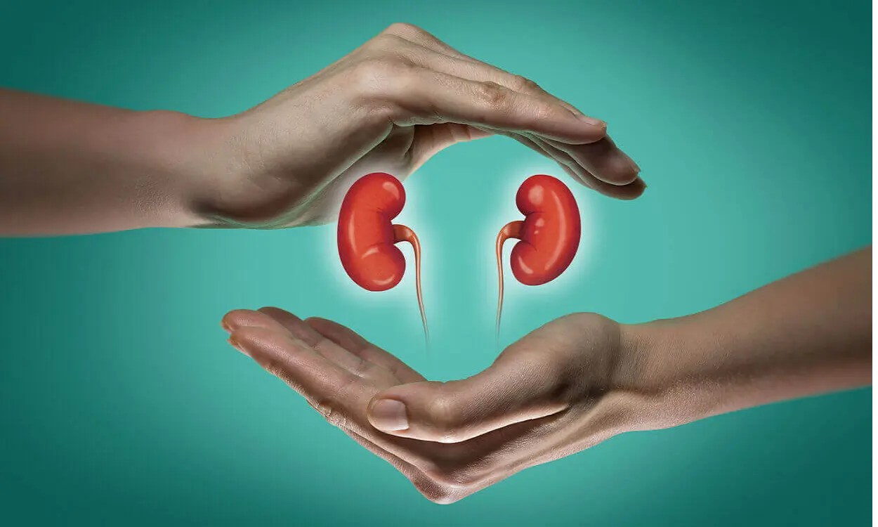 kidney health