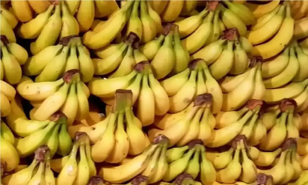 Bananas