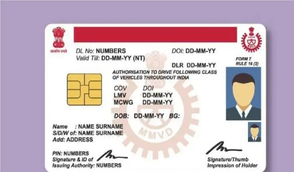Driving License