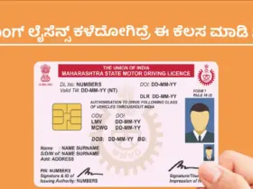 duplicate driving licence