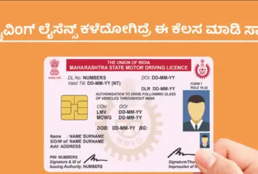 duplicate driving licence