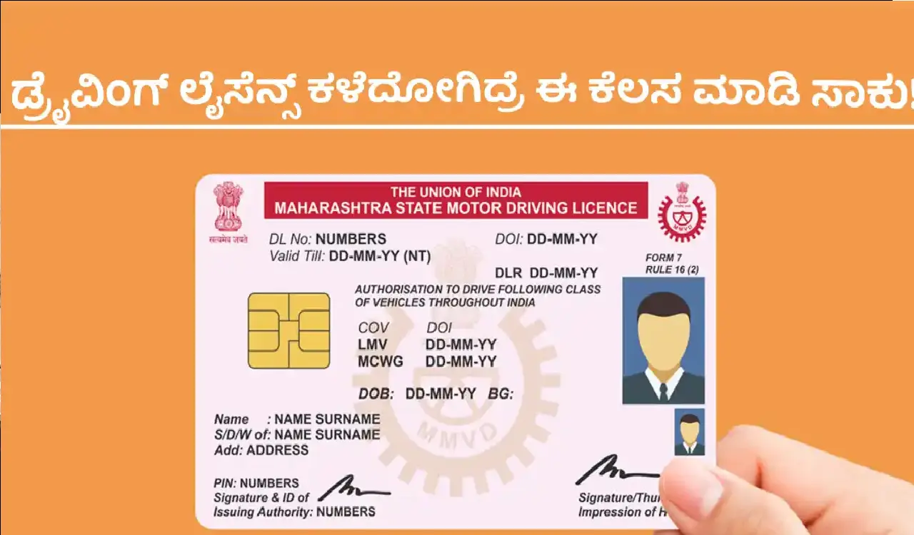 duplicate driving licence