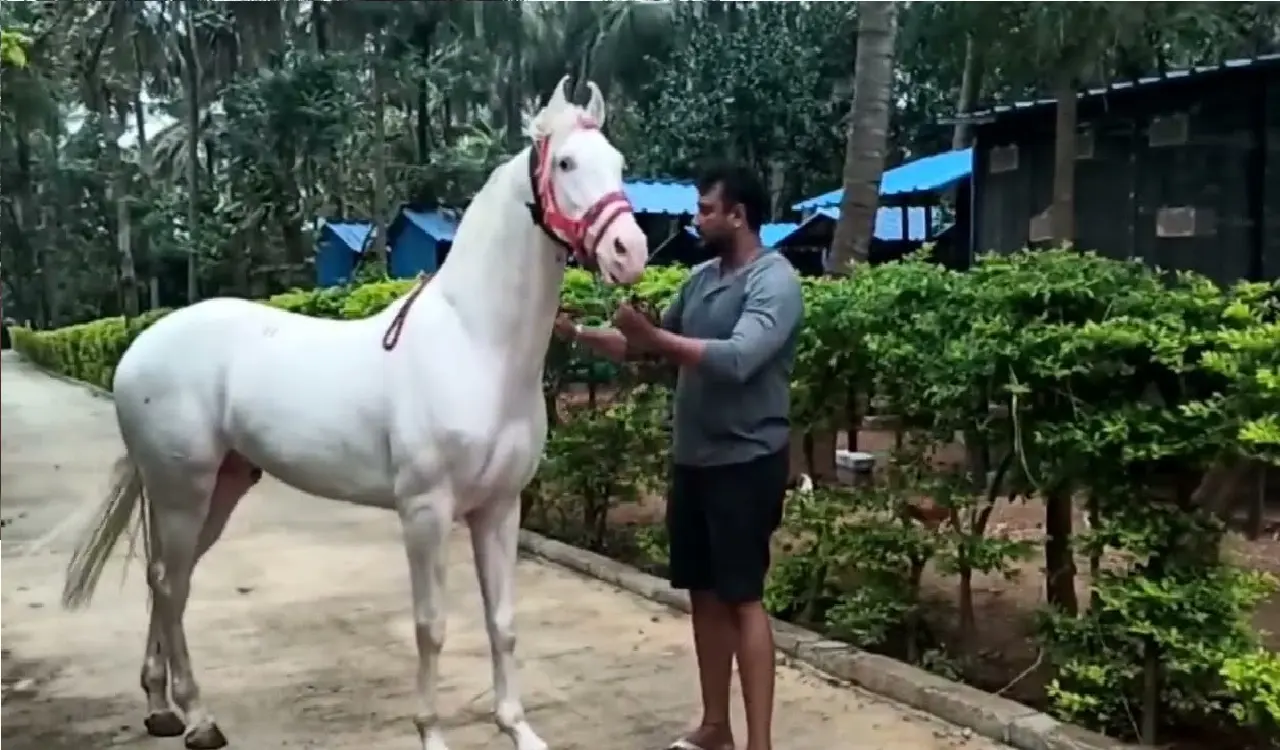 actor darshan farm house migratory birds