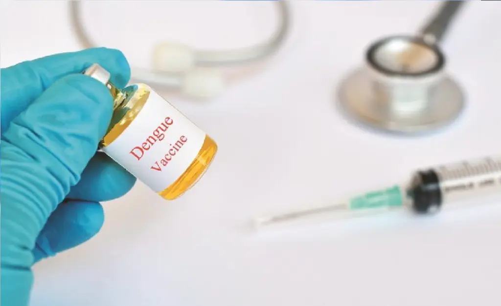 dengue vaccine