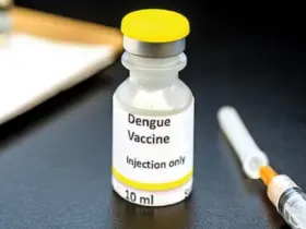dengue vaccine