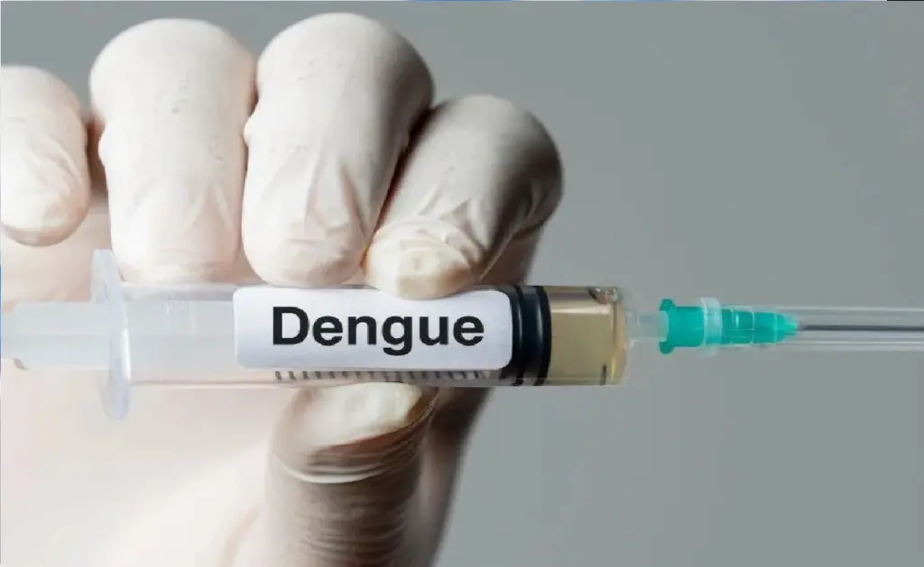 dengue vaccine