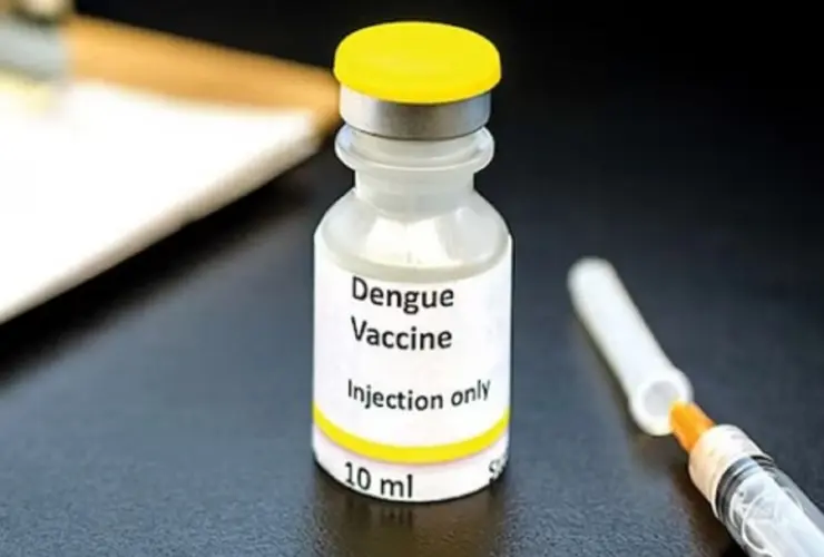 dengue vaccine