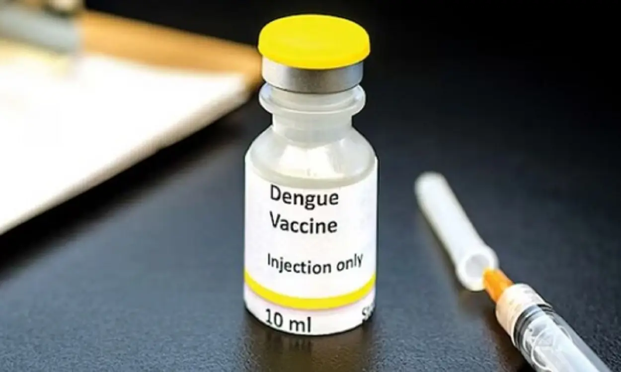 dengue vaccine