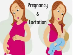Pregnant and Lactating Women