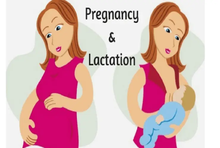 Pregnant and Lactating Women