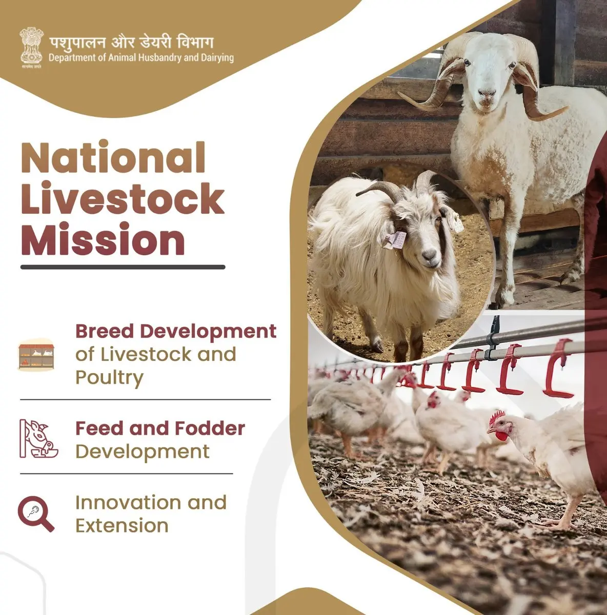 Goat Farming National Livestock Mission