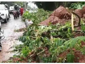 Landslide On Bengaluru-Mangaluru Highway