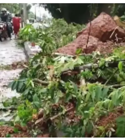Landslide On Bengaluru-Mangaluru Highway