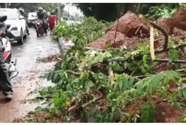 Landslide On Bengaluru-Mangaluru Highway