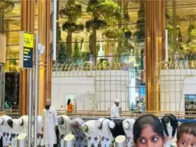 Namaz inside Bengaluru Airport, video viral