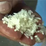 Ration card plastic rice false news