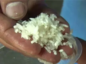 Ration card plastic rice false news