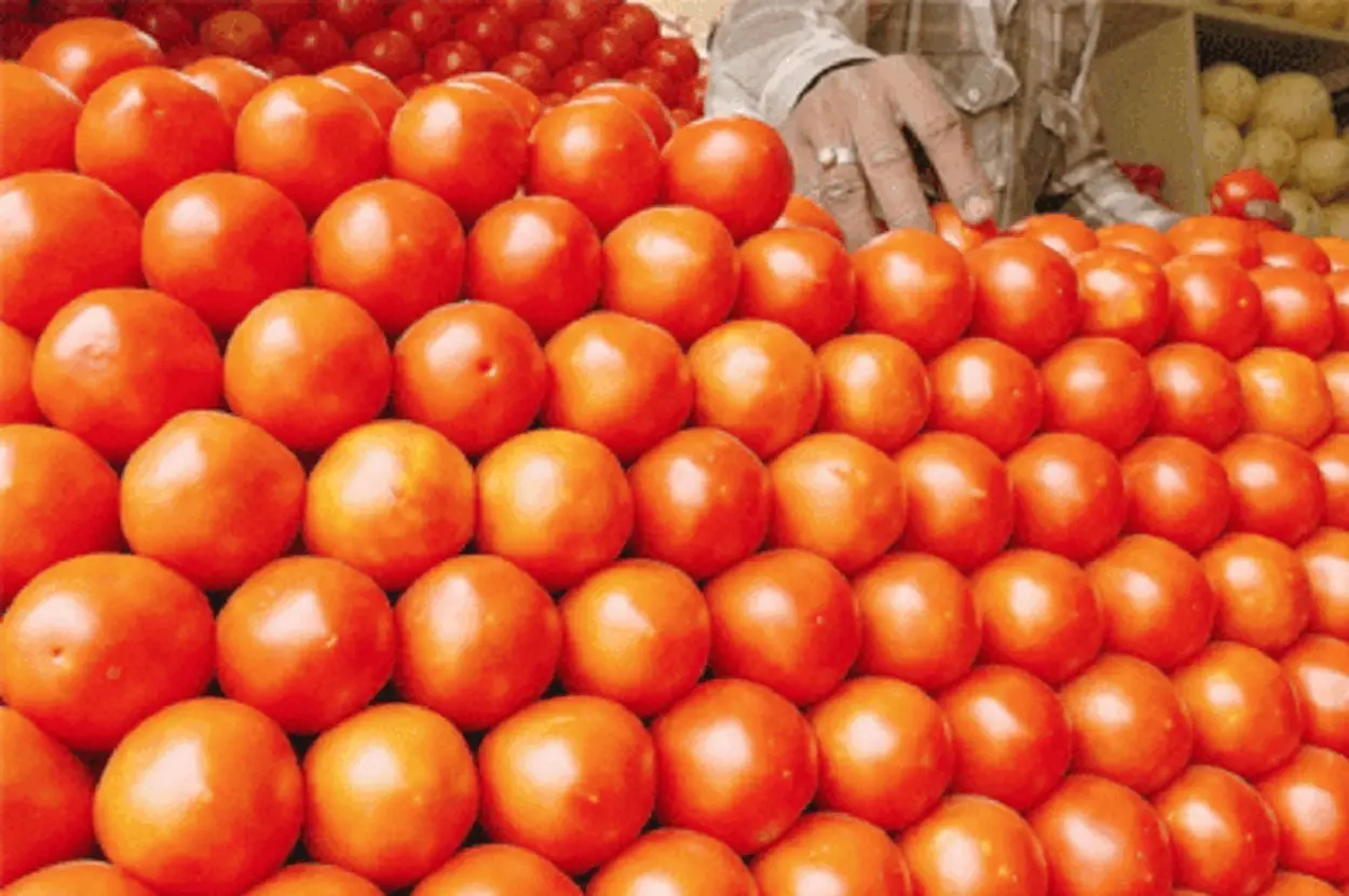Tomato Prices Double
