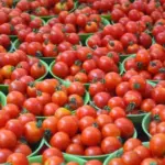 Tomato Prices Double