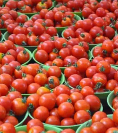 Tomato Prices Double