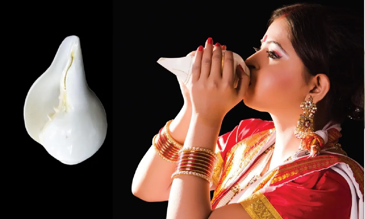 conch shell for puja