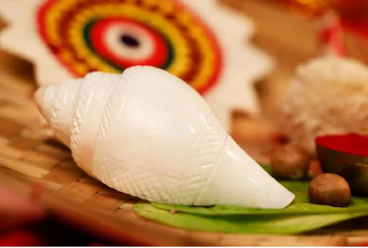 conch shell for puja