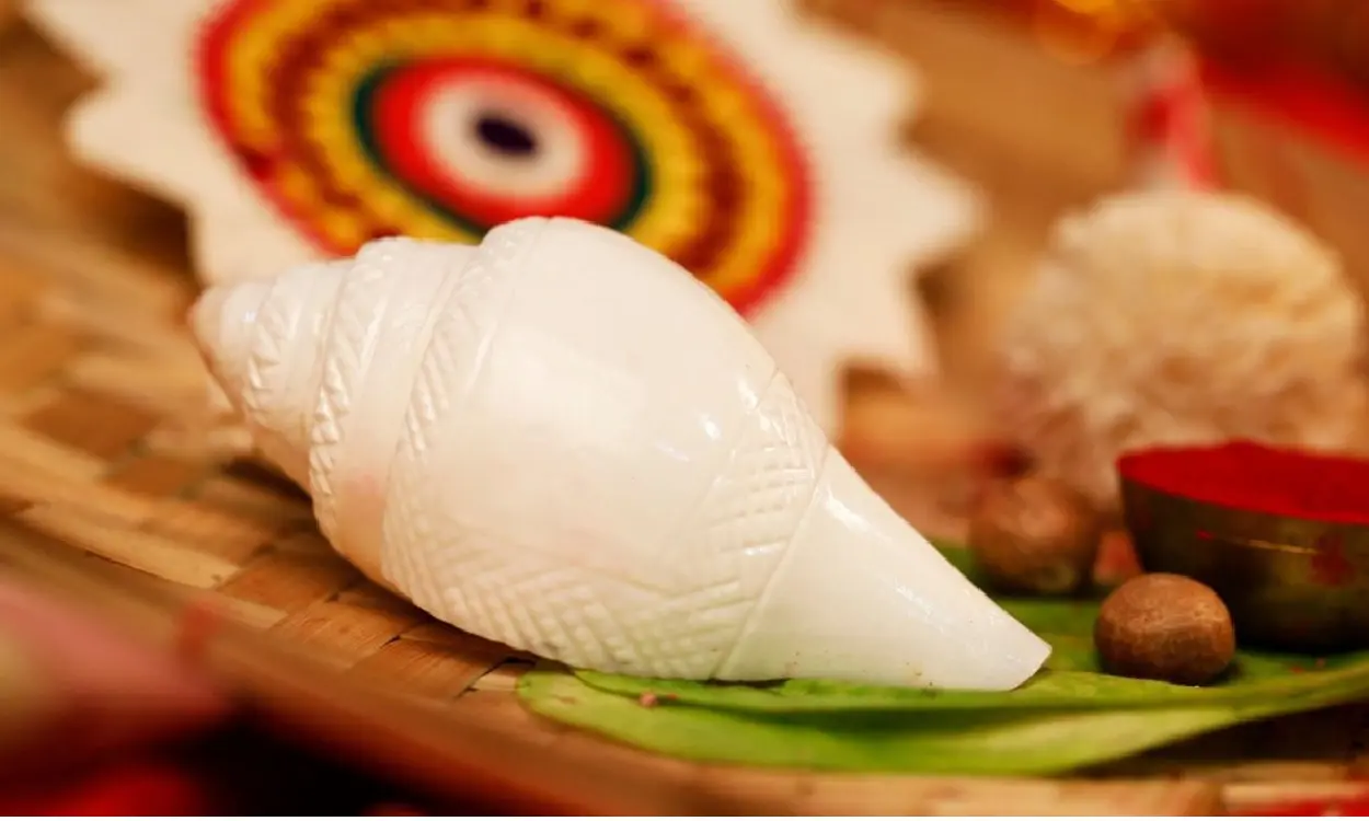 conch shell for puja