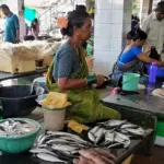 fish market karnataka