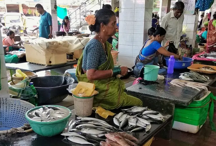 fish market karnataka