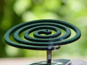 mosquito coil