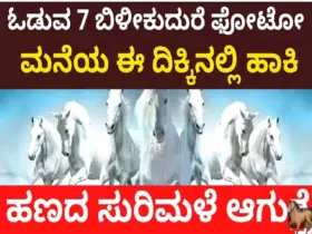 If you put 7 white horse pictures in this direction of the house, it will rain money..!!