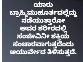 Should we wake up on Brahmi Muhurta? do you know