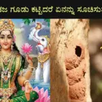 What does it mean if you build a kadaja nest at home