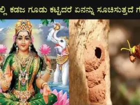 What does it mean if you build a kadaja nest at home