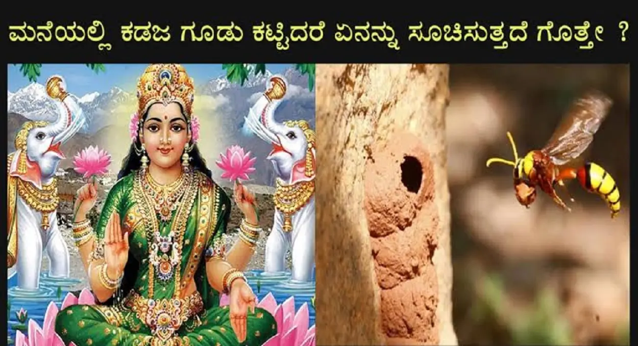 What does it mean if you build a kadaja nest at home