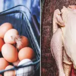 chicken meat and egg