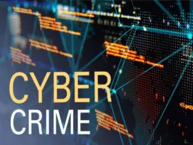 cyber crime