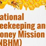 nbhm honey bee