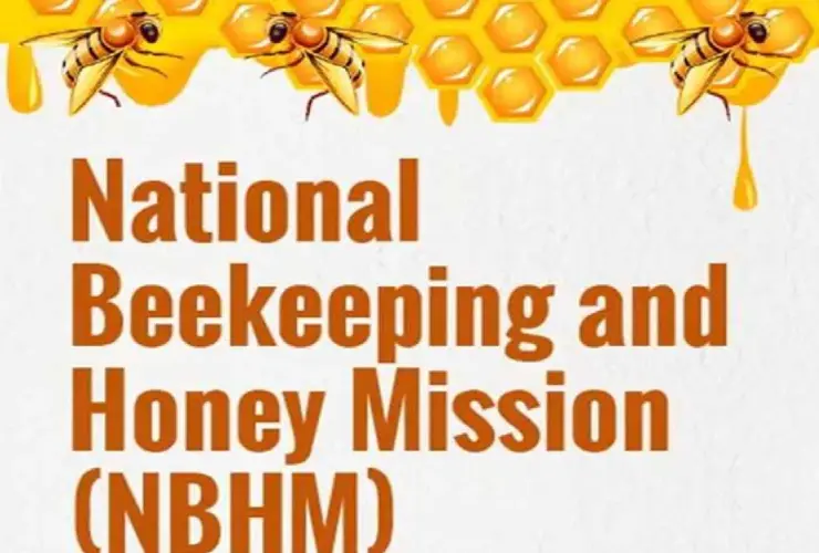 nbhm honey bee