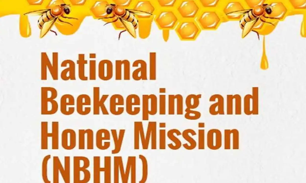 nbhm honey bee