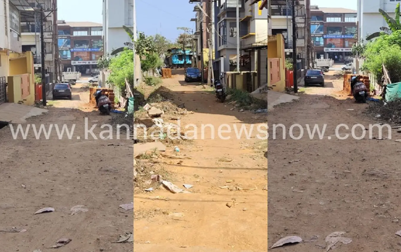 A road in Sagar Nagar that has no 'damber'; the 'municipal council' turns a blind eye