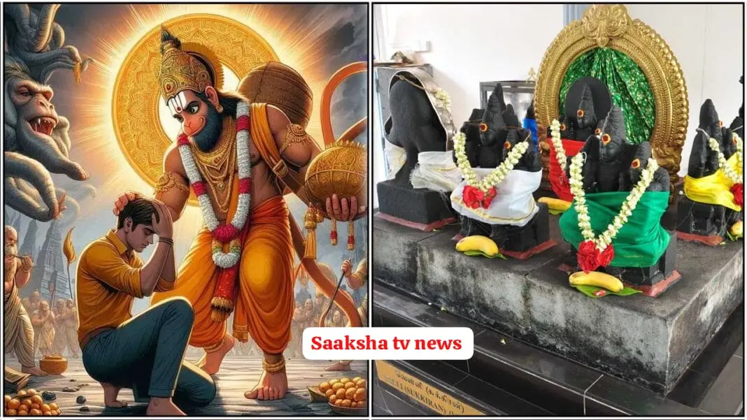 Today is the full moon, the grace of Lord Shaneshwara for 8 zodiac signs. Gurubala Raja Yoga Shukradesh begins after 108 years!