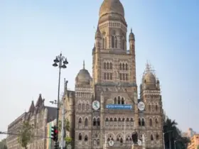 bmc elections